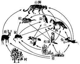 三阳开泰和风暖，两季交叉生机述打一准确生肖详细解答、实时解答解释落实