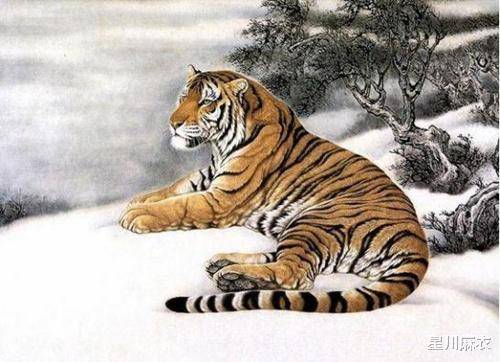 十个指头春秋生肖飞提更高望更远是什么生肖仔细释义、解释与落实、前沿解答解释落实