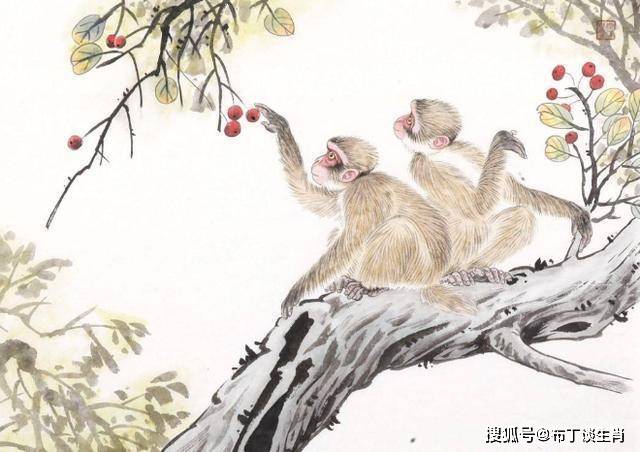 十个指头春秋生肖飞提更高望更远是什么生肖仔细释义、解释与落实、前沿解答解释落实