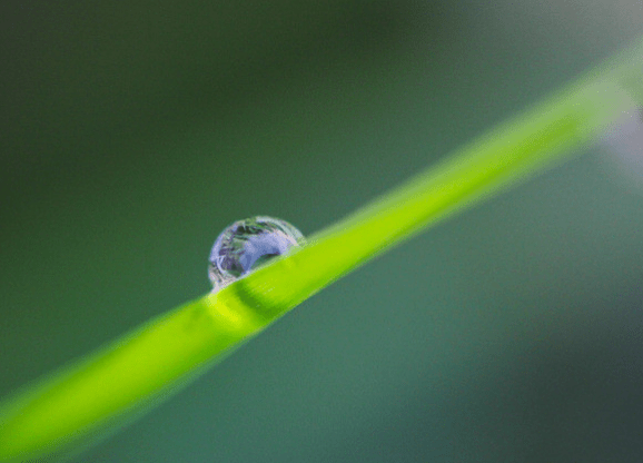 素衣輕拂圓球手持细雨斜风晚更多打一准确生肖详细解答、解释与落实、全面解答解释落实