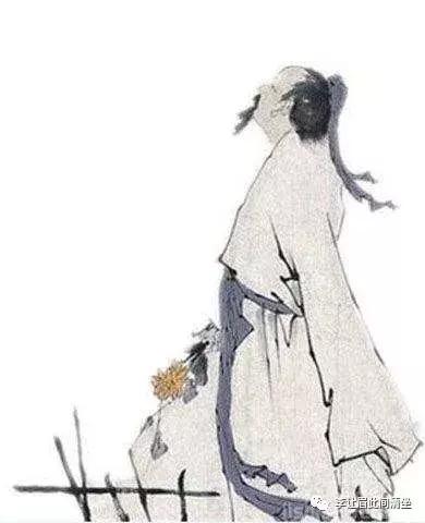 铢两悉称打一正确动物生肖详细解答、详细解答解释落实