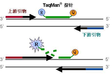 三阳开泰和风暖，两季交叉生机述打一准确生肖,警惕虚假宣传落实,定量解答解释落实