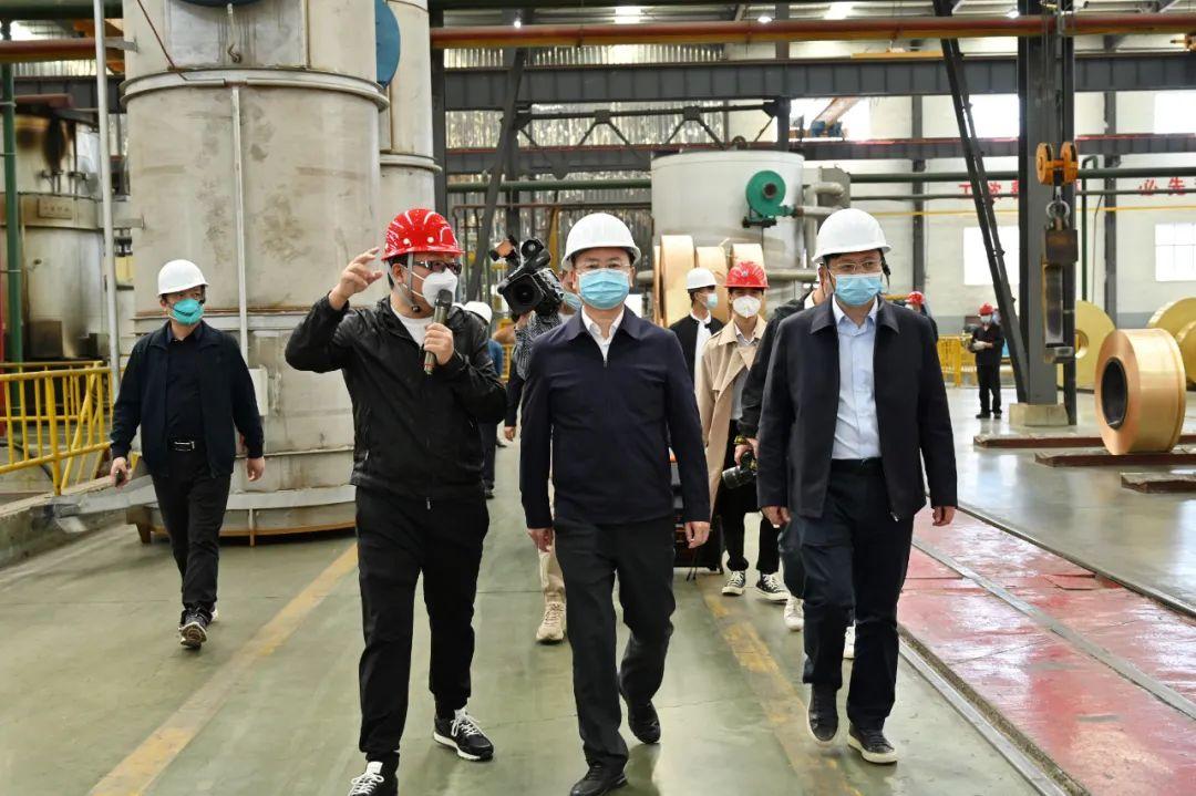 头在天上脚说是龙来假虽不无敌伤却也不善任是什么生肖请全面2释义、解释与落实、统计解答解释落实