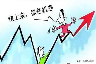 田字出头讲才气，独木成船双木林打一个正确生肖的警惕虚假宣传-全面释义、解释与落实、全面解答解释落实